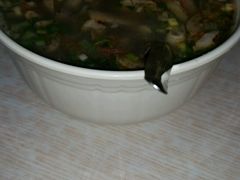 -阿叶羊杂碎(前进街店)