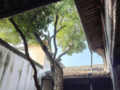 -绍兴鲁迅故里·沈园景区