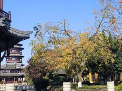 -圆通寺