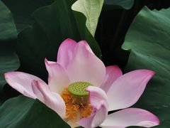 -国家植物园