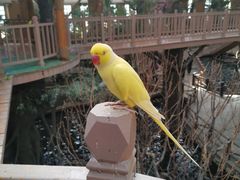 -南宫五洲植物乐园