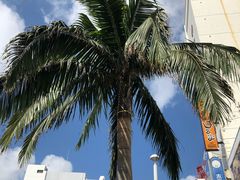 -アニメイト那覇国際通り店(那霸國際通店)