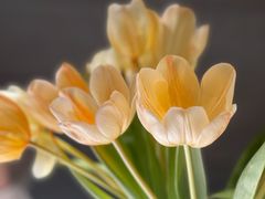 -春暖花开(西溪店)