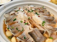 -单家老院·院子里的青岛菜(沙子口店)