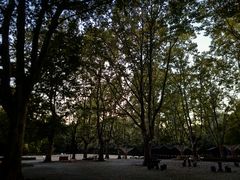 -上海共青森林公园