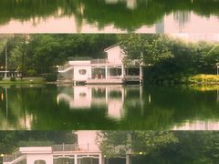 -晓港公园