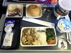 -新加坡航空公司(ION)