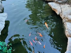 -扬州瘦西湖温泉