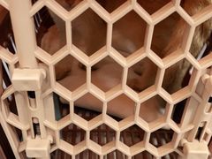 -申普宠物医院·心脏介入·心血管微创(总院)