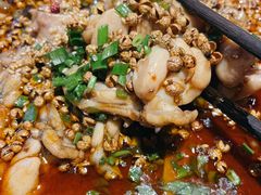 -向川南·水煮鱼·川菜(和平里店)