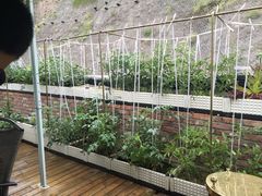 -白云宾馆-中餐厅