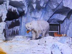 -皇家美孚·蛋糕外送(东部佳世客店)