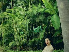 -西双版纳傣族园