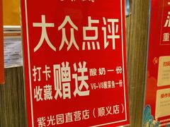 -紫光园(顺义店)