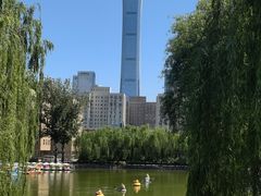 -团结湖公园