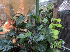 -绿房子方寸咖啡(星海名城店)