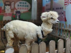 -佟小曼手工茶饼坊(鼓浪屿1店)