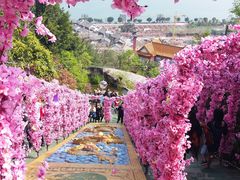 -丰都鬼城名山景区