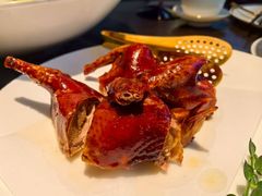 -甄御•海鲜新青岛菜(麦岛店)