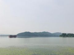 -东湖落雁景区