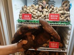 -太婆天府山珍酒楼(亚运村店)
