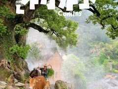 -杨家堂村