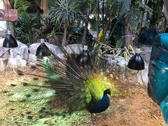-海合安武汉极地海洋公园