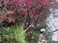 -乌山风景区