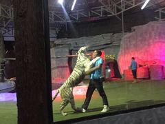 -清迈夜间动物园