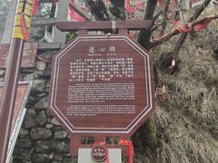 -塔云山