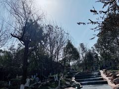 -五凤溪古镇