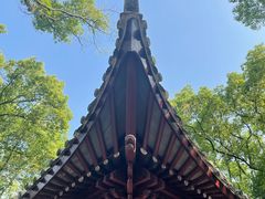-天一阁博物院
