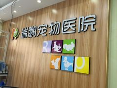 -瑞鹏宠物医院·猫专科·眼专科·产科(厚街店)