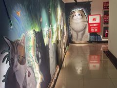 -猫腻·猫咖·撸猫馆(星光大道店)