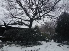 -红梅公园