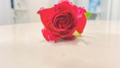 -Oasis Beauty水磨坊科技美肤中心