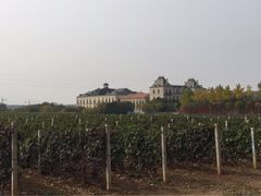 -北京张裕爱斐堡酒庄