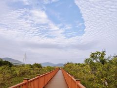 -芒洲湿地公园