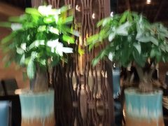 -南堂館川菜文化餐厅(天府店)