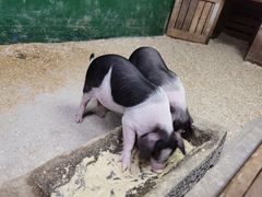 -文和友老长沙龙虾馆(化龙池店)