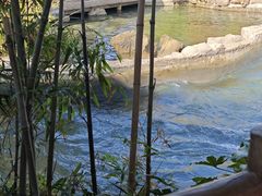 -东湖生态旅游风景区