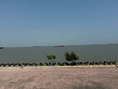 -上海滨江森林公园