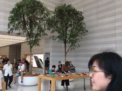 -Apple零售店(济南恒隆广场店)