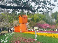 -苏州上方山国家森林公园