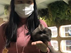 -藦茜花园宠物主题亲子互动体验馆(国顺东路店)