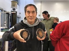 -悉尼鱼市场