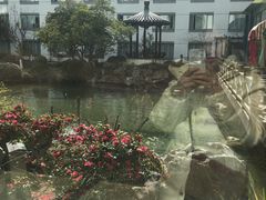 景观位-苏苑饭店-中餐厅(长桥地区店)