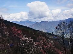 -九皇山景区