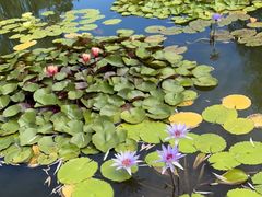 -国家植物园南园