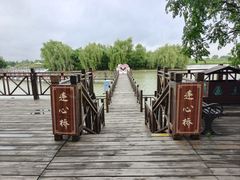 -泗洪洪泽湖湿地景区